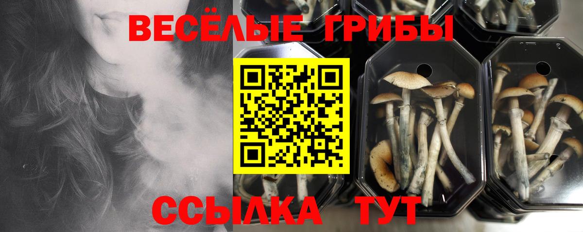 Абинск  Галлюциногенные грибы Magic Shrooms  Вход с VPN  Галлюциногенные грибы GOLDEN TEACHER 